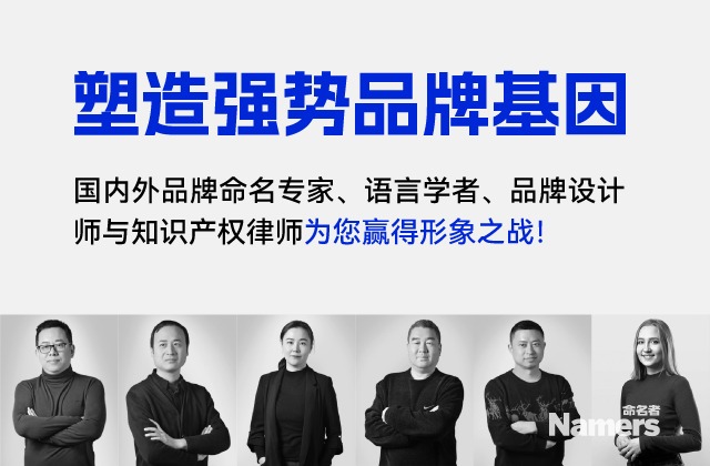 商标与品牌视觉识别在一家公司中的应用示例