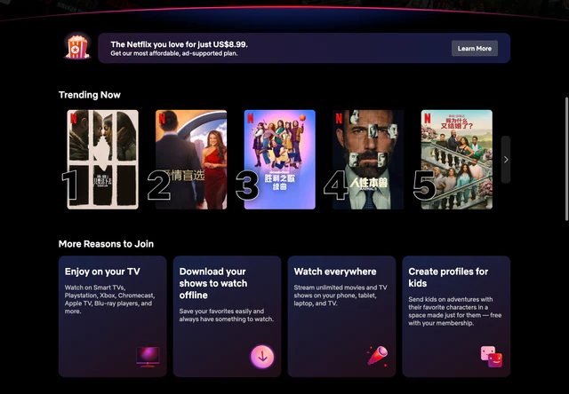 Netflix · The Netflix you love for just US$8.99.